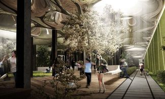 Un giardino sotterraneo a New York