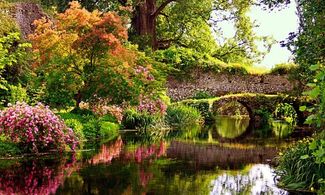 Lazio: Giardino di Ninfa  il più romantico del mondo  