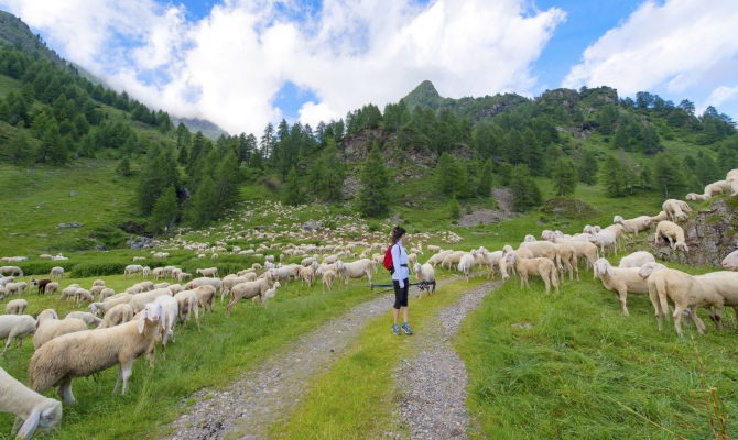 trekking sulle vie della transumanza