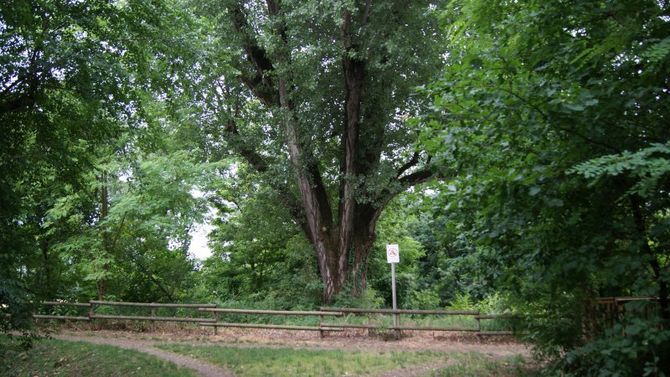 Parco Agricolo Sud Milano