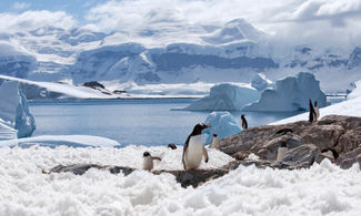 Antartide, cosa sapere prima di partire