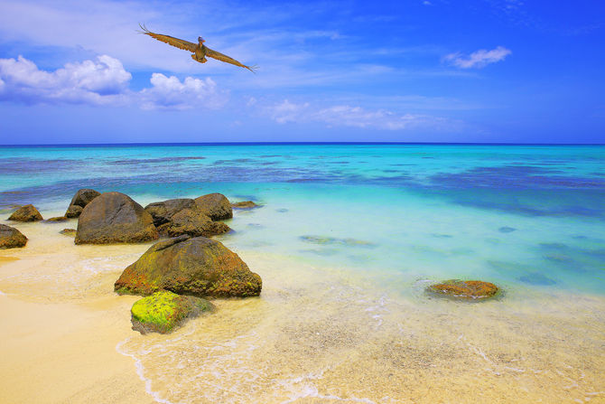 Eagle Beach, Aruba