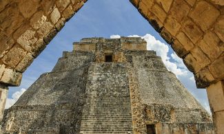 Yucatan, bagno con gli squali balena