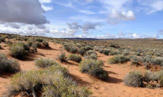 Arizona: mitica Tubac, nel cuore del deserto 