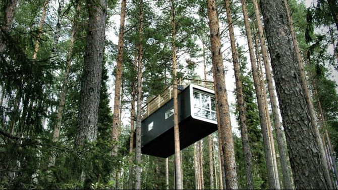 Tree hotel