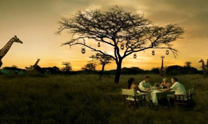 Cena nel bush
