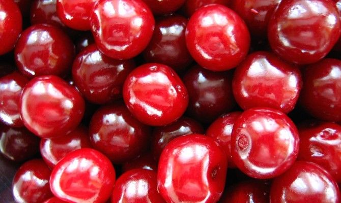 amarene frutta ciliegie frutti rossi penisola sorrentina<br>