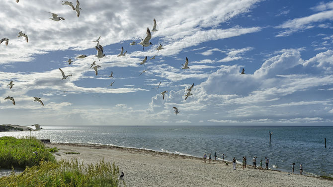 Ocracoke Island