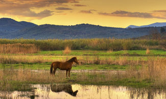 A cavallo in Maremma toscana