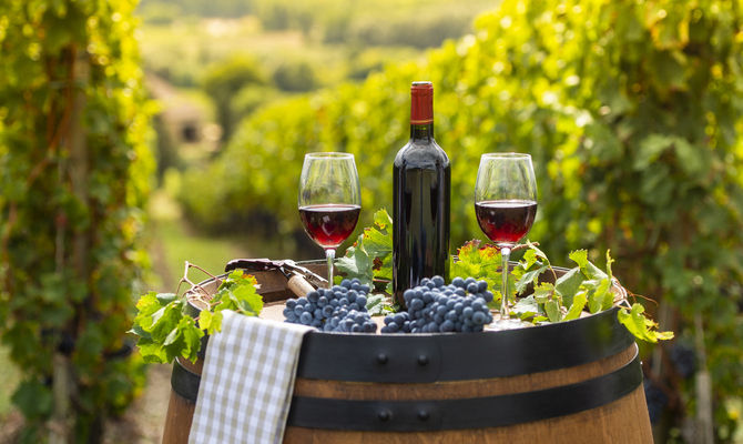 Scorcio di vitigno con vino rosso
