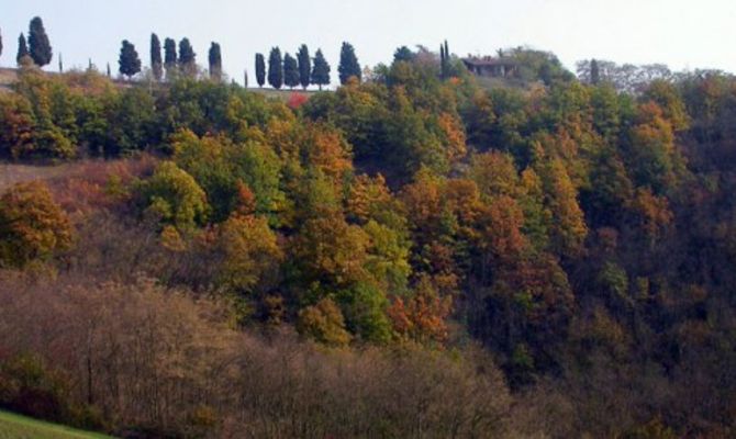 Appennino bolognese