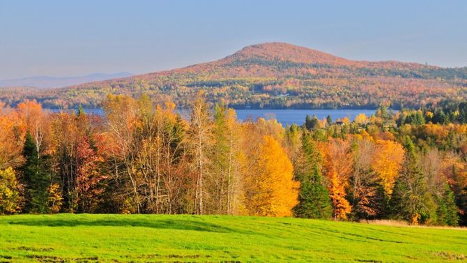 foliage vermont