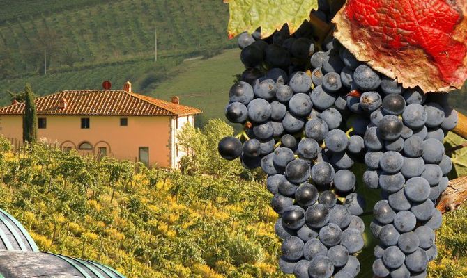 Vino Chianti