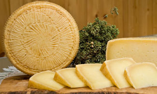 Basilicata, i pascoli di Filiano in un formaggio delizioso