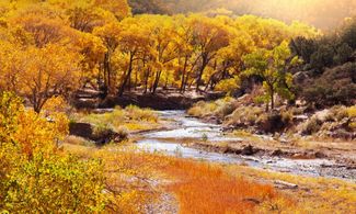 Magie cromatiche del foliage nel mondo