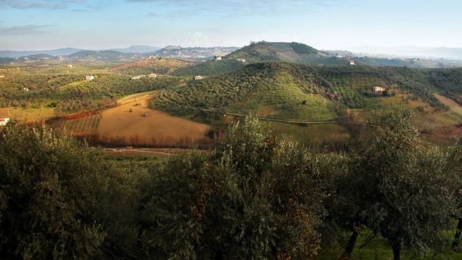 Abruzzo &amp;#45; DOP Aprutino Pescarese