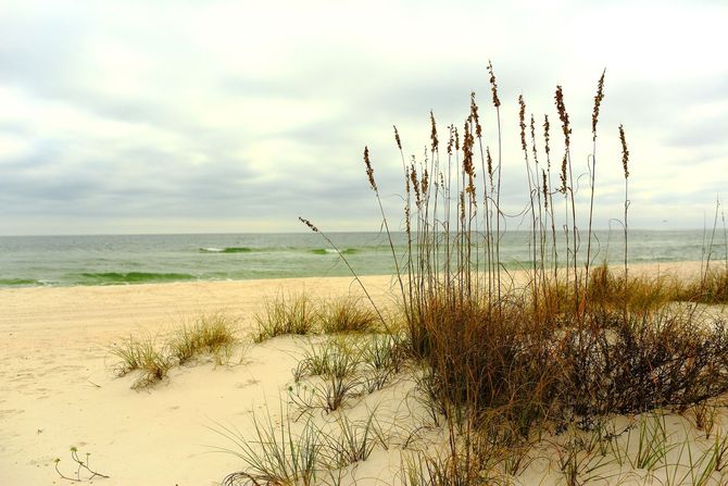 Gulf Islands National Seashore