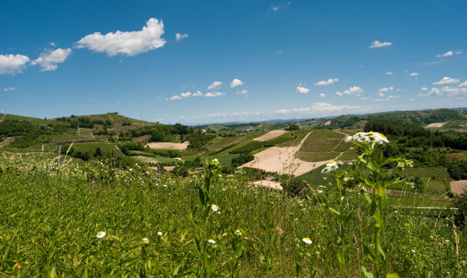 Piemonte, Colline del Roero