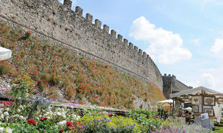 Fiori nella Rocca e altre magie di Lonato del Garda