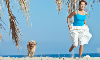 Cane che corre sulla spiaggia