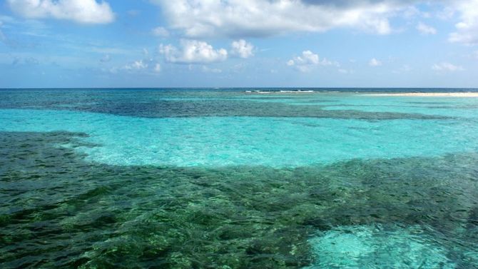Belize barriera corallina