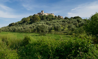 Scorcio su Capalbio