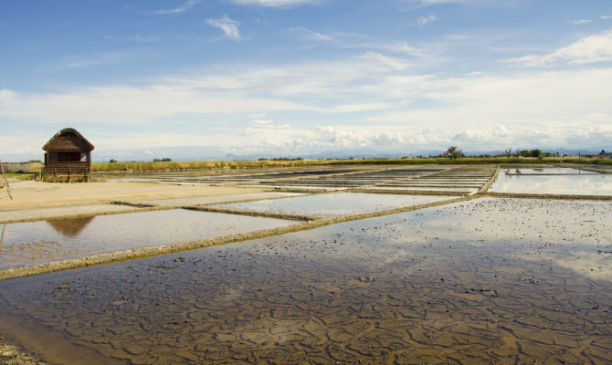 cervia sale salina bacini saliferi