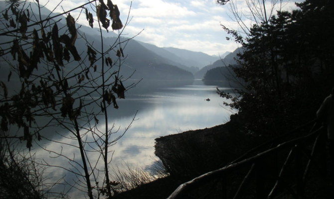 lago suviana bologna bacino specchio d'acqua bosco natura nebbia