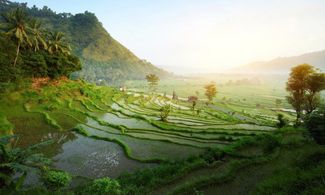 Bali, un mondo da scoprire oltre le spiagge