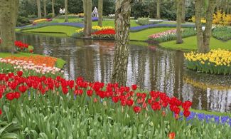 Keukenhof