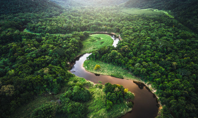 foresta amazzonica