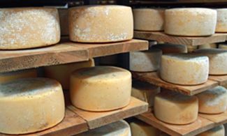 Toscana: quando il gusto è Magnifico