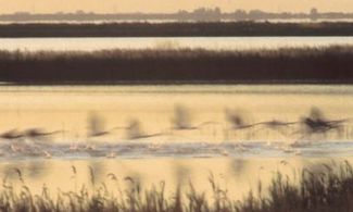 Comacchio e le sue Valli