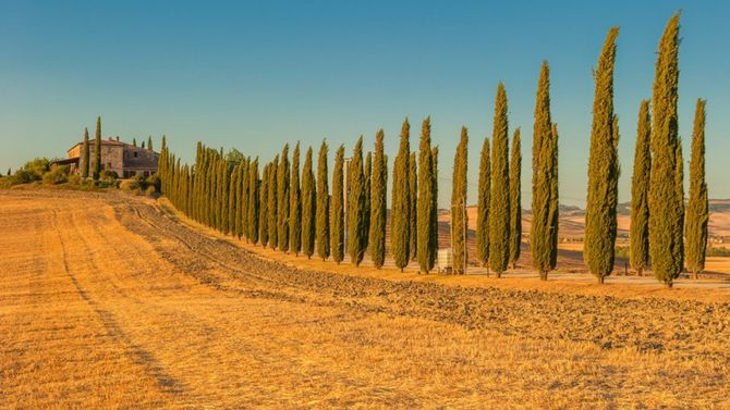 paesaggio toscano