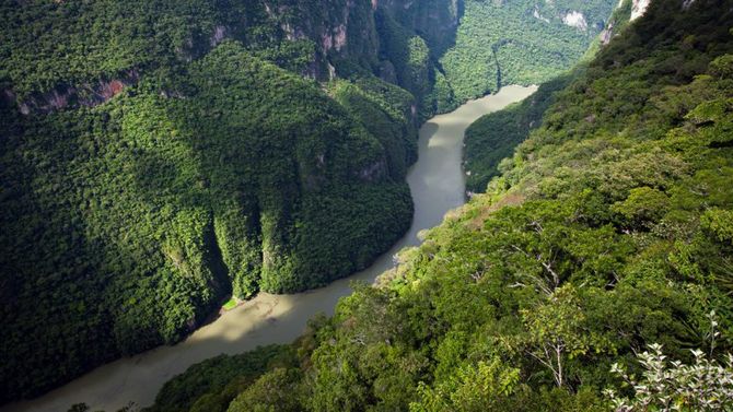 Canyon Sumidero