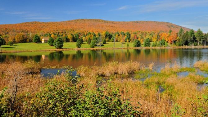 foliage vermont