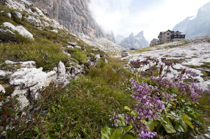 Madonna di Campiglio