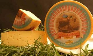 spressa delle giudicarie dop
