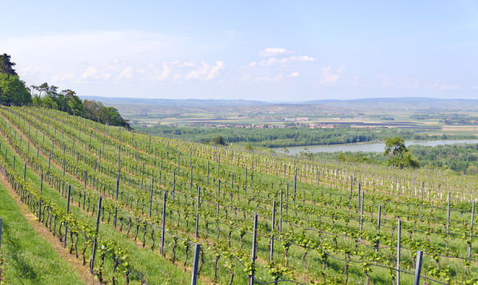 Campagna