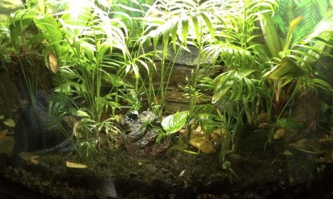 Rivarium