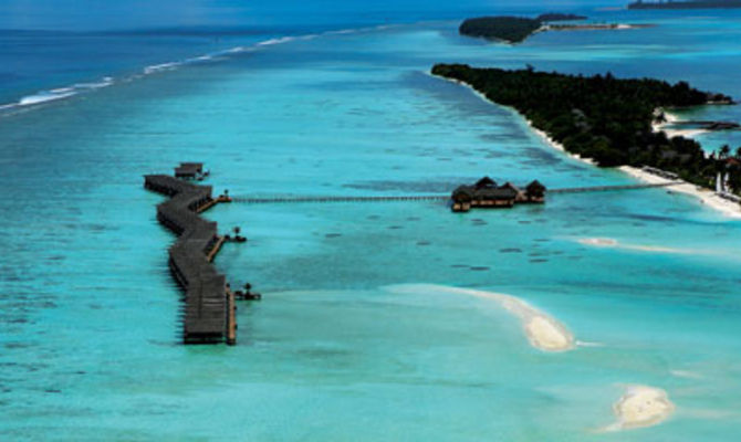 Diva Maldive