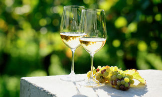 Soave, un vino bianco 'intraprendente' 