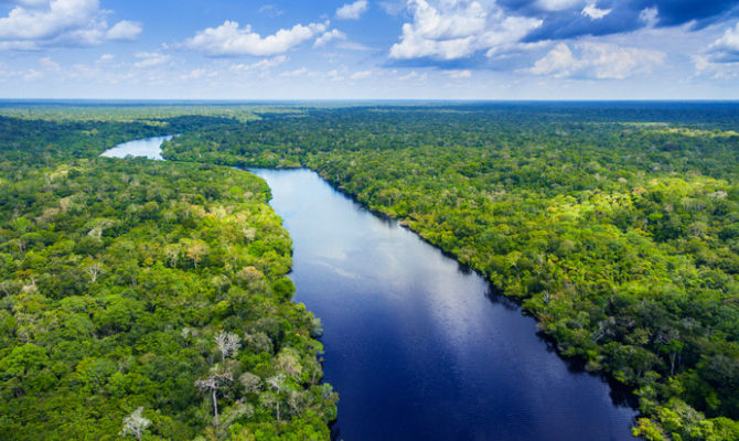 Mato Grosso, Amazzonia, Brasile