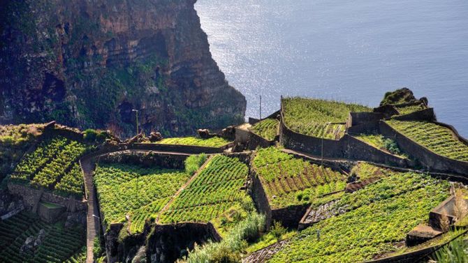 Natura di Madeira