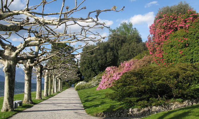 villa melzi d'eril giardini lago di como bellagio