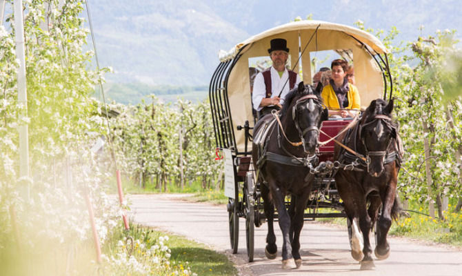 In carrozza a Terlano