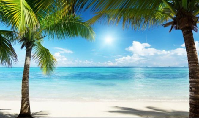 Caraibi spiaggia con palme Repubblica Dominicana
