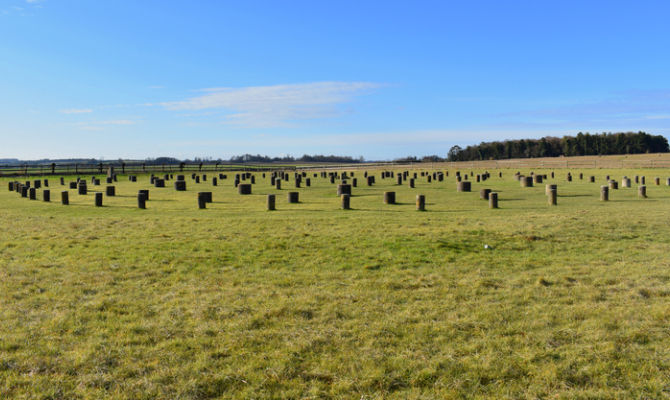 Woodhenge 