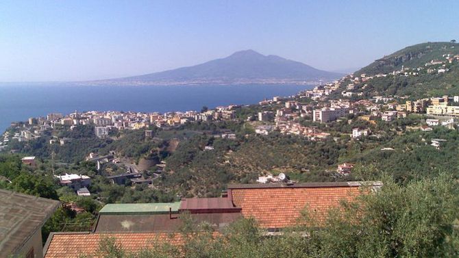 olio Dop Penisola Sorrentina foto