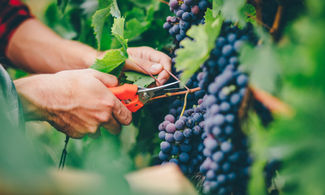 Fattoria Quercia, gusto biologico emiliano